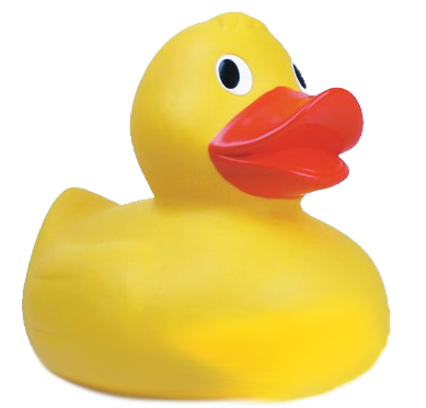 Great Norwich duck Race